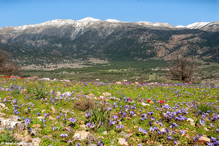 Vita bergen Chania Kreta